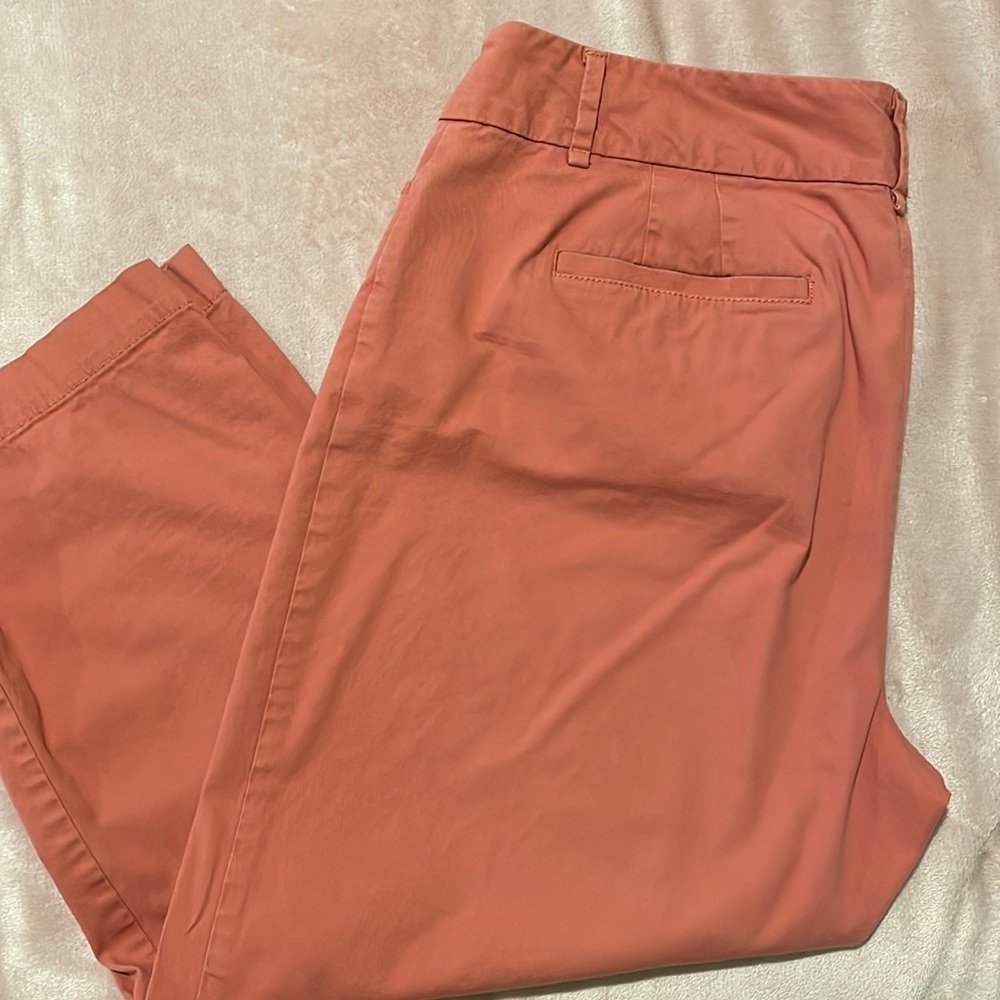 Ann Taylor LOFT crop pants